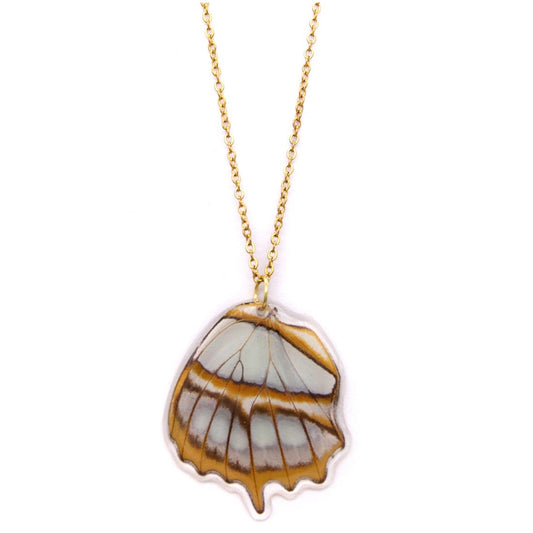 COLLAR ALA STELENES