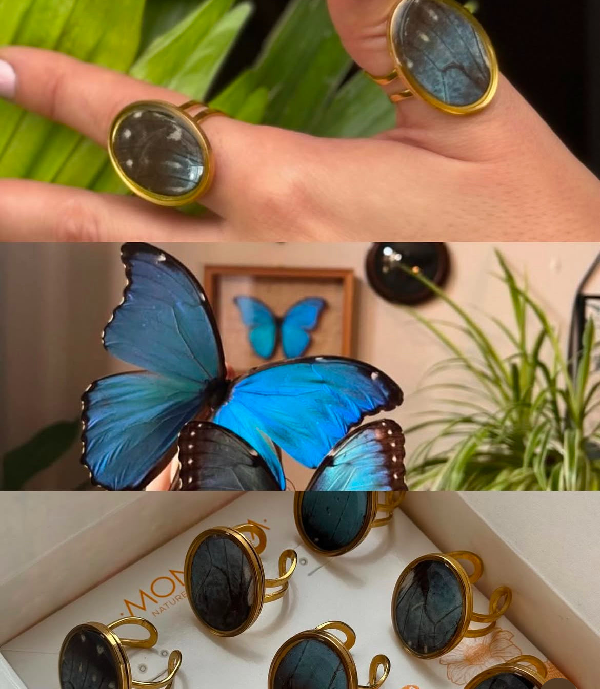 Anillo dorado acero