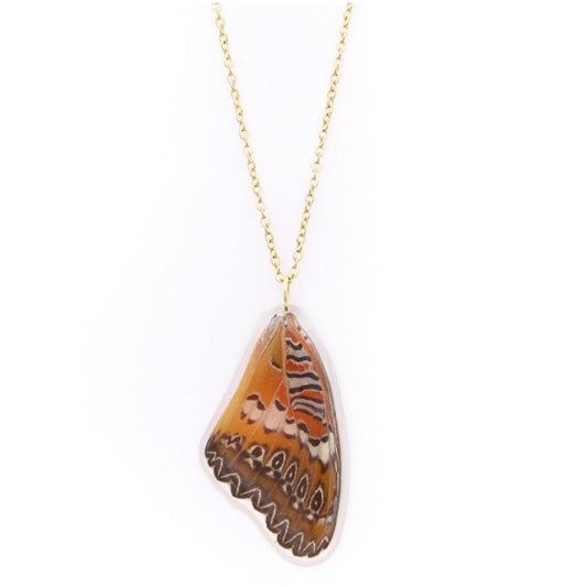 COLLAR ALA CETHOSIA