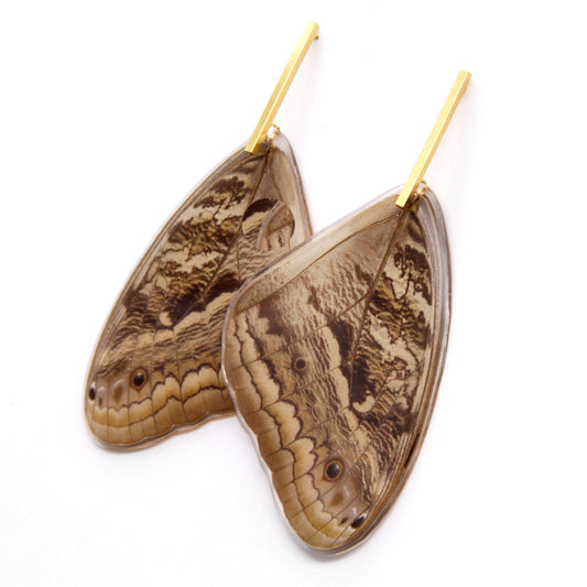 ARETES BARRA BÚHO