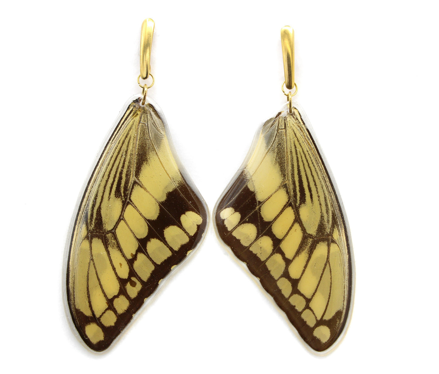 ARETES ACERO THOAS