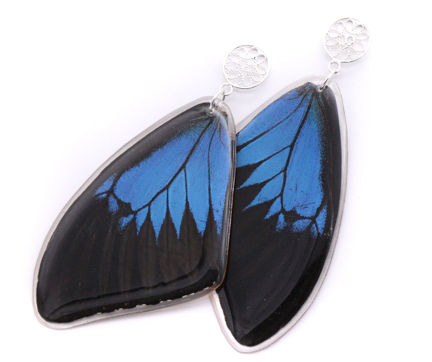 ARETES FILIGRANA ULYSSES