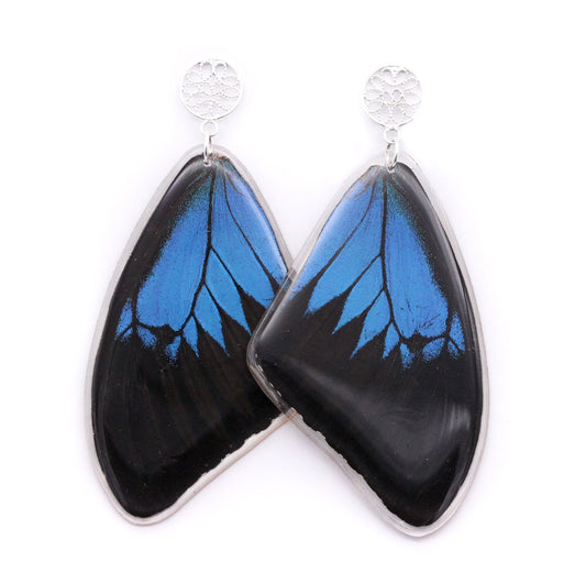 ARETES FILIGRANA ULYSSES