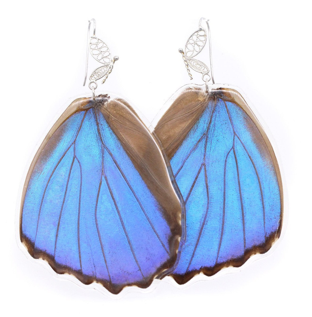 ARETES FILIGRANA MORPHO