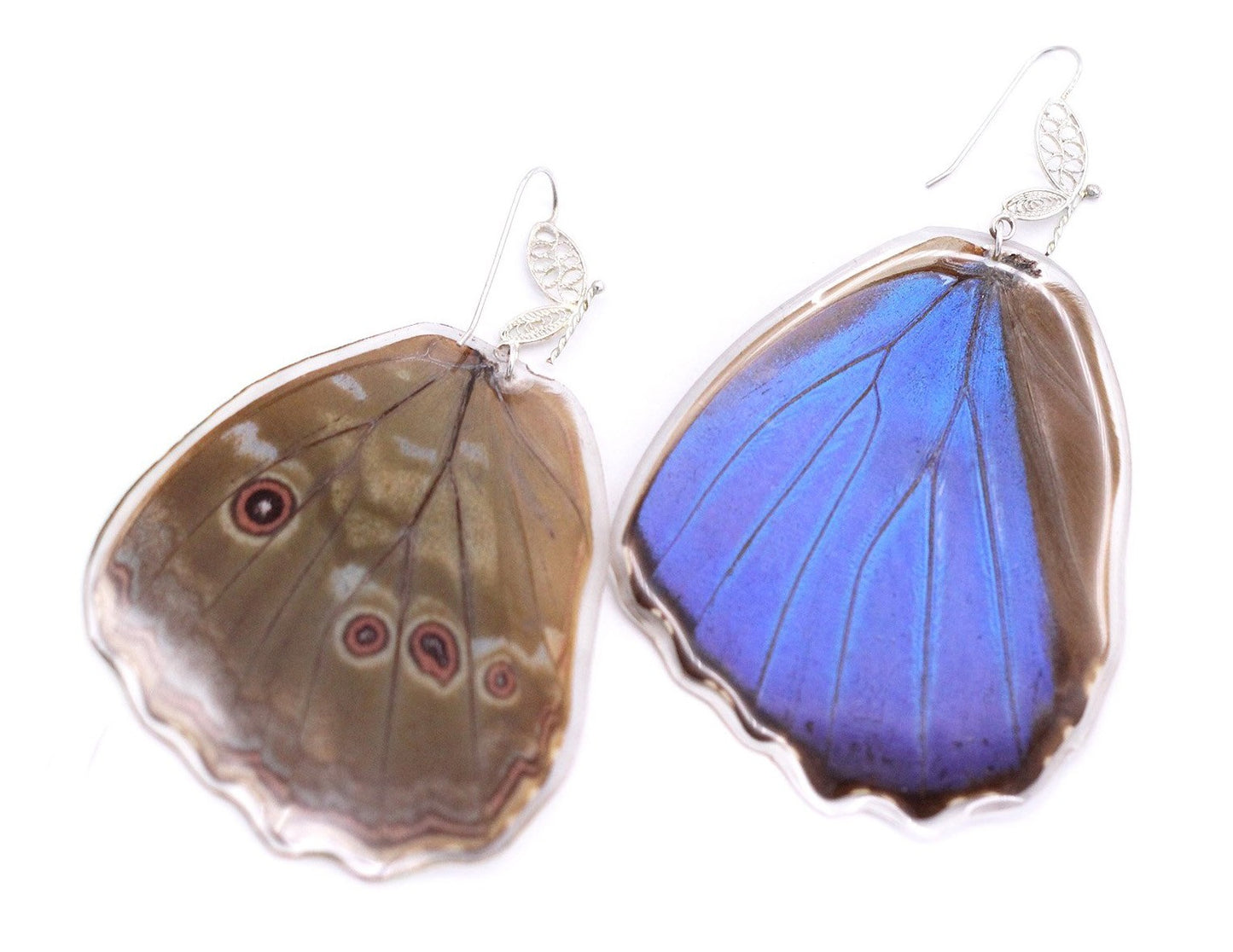 ARETES FILIGRANA MORPHO