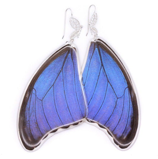 ARETES FILIGRANA MORPHO