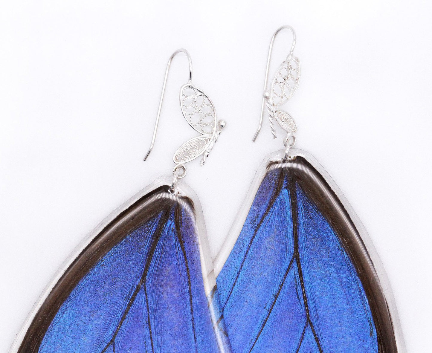 ARETES FILIGRANA MORPHO