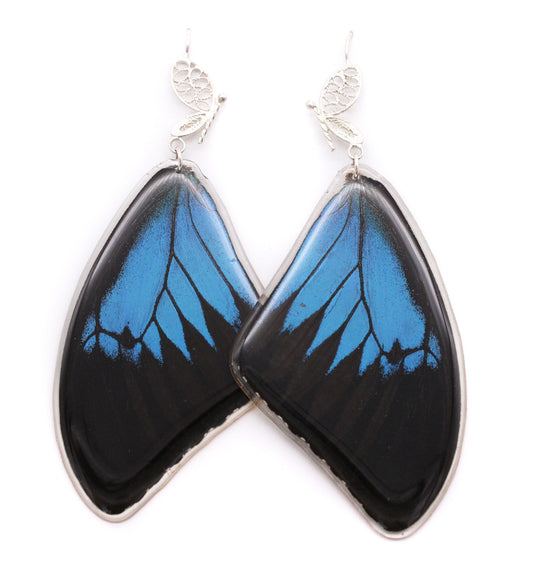 ARETES FILIGRANA ULYSSES