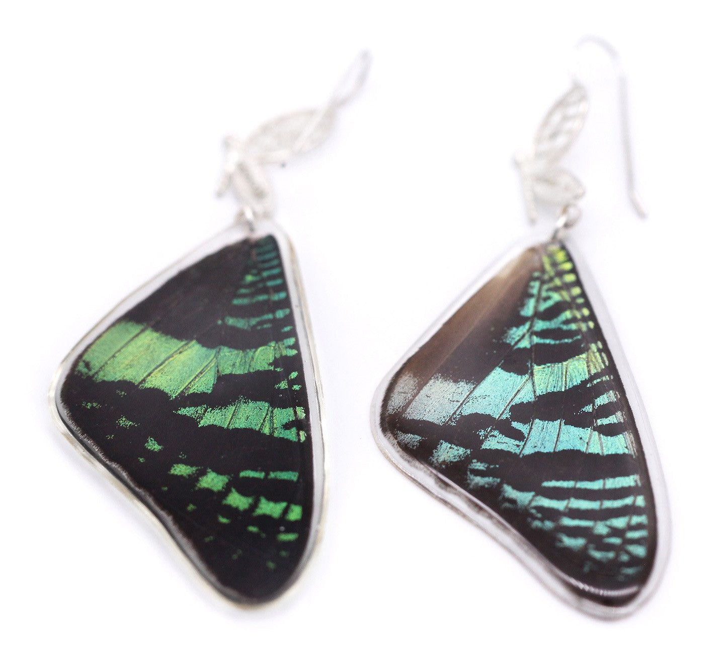 ARETES FILIGRANA URANIA