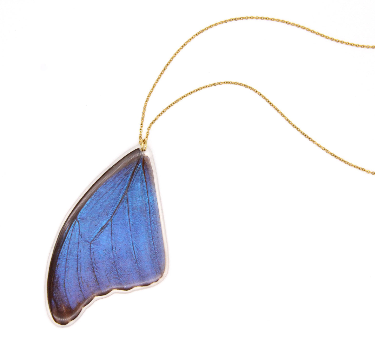 COLLAR ALA GRANDE MORPHO DORADO