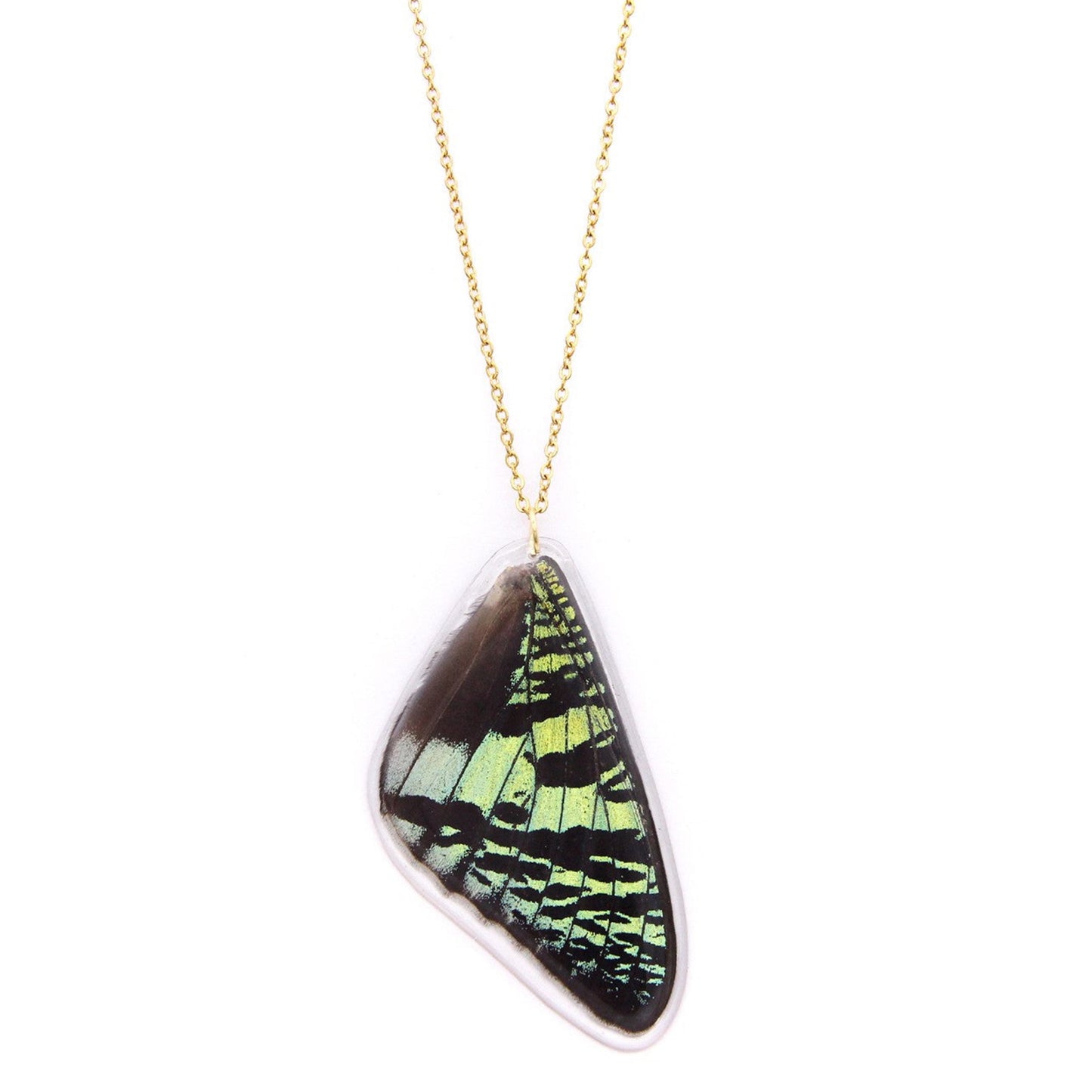 COLLAR ALA URANIA
