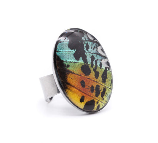 ANILLO ACERO MULTICOLOR ÓVALO