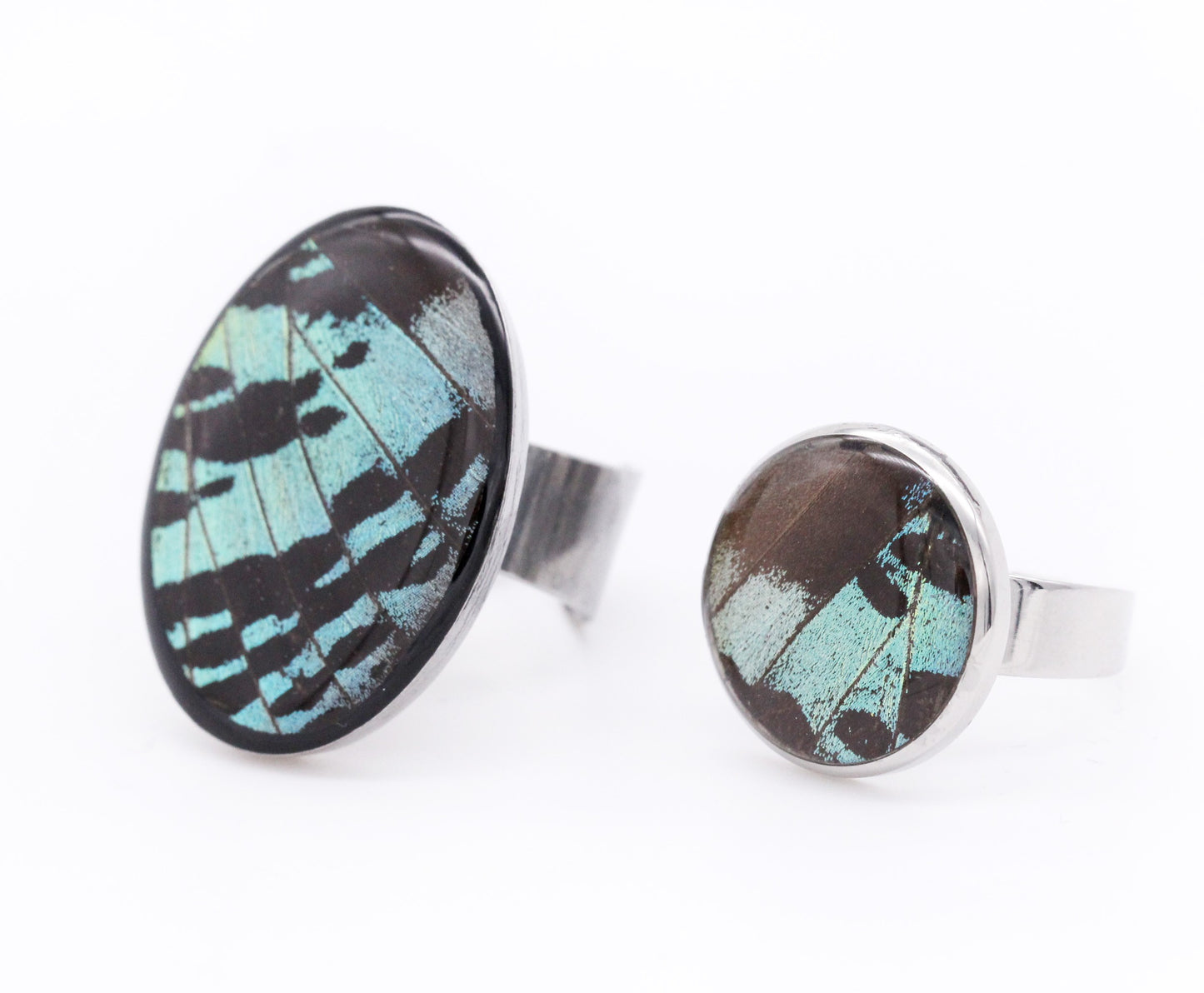 ANILLO URANIA PEQUEÑO CÍRCULO