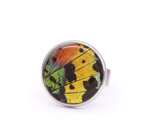 ANILLO PEQUEÑO MULTICOLOR CÍRCULO