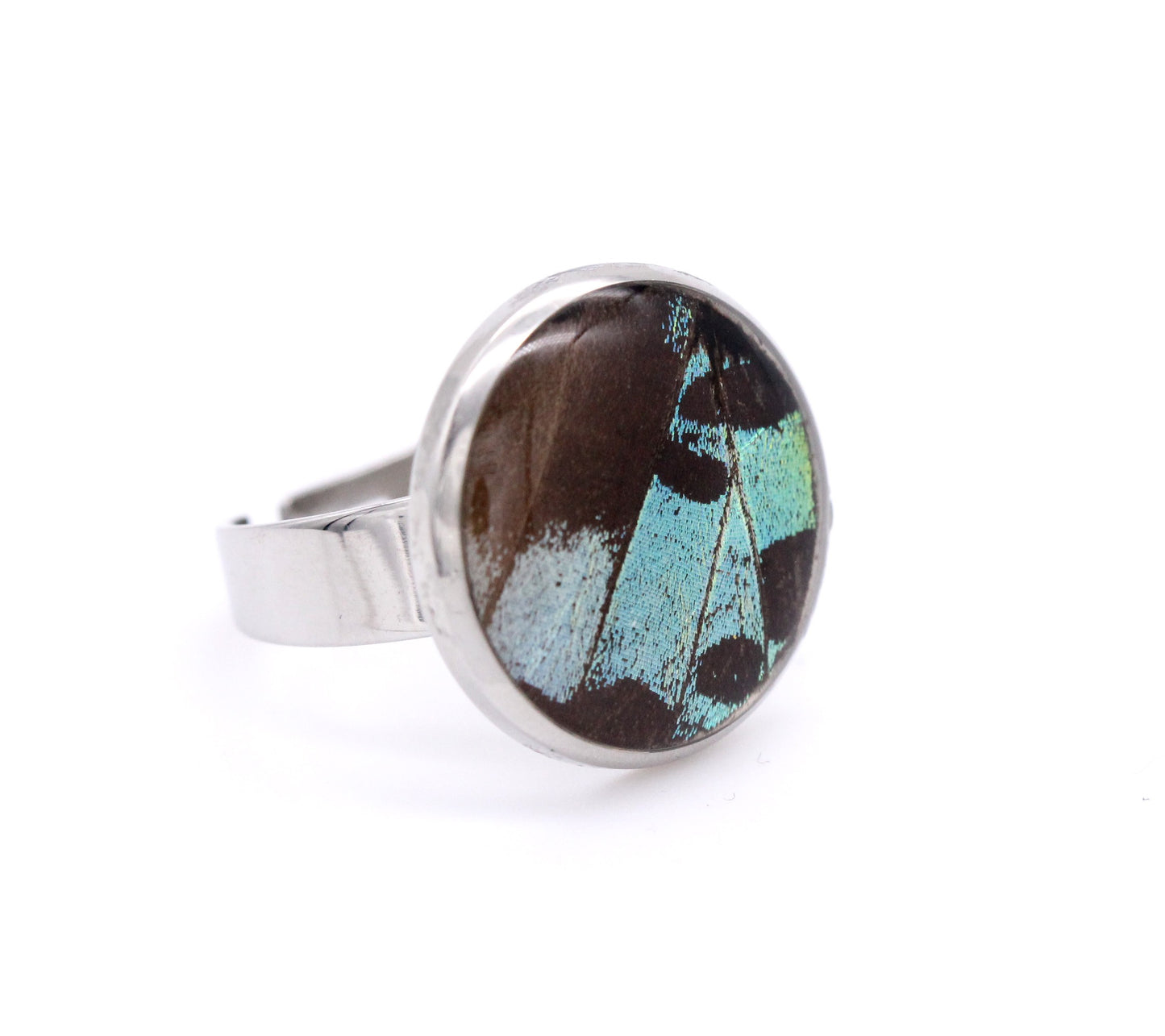 ANILLO URANIA PEQUEÑO CÍRCULO