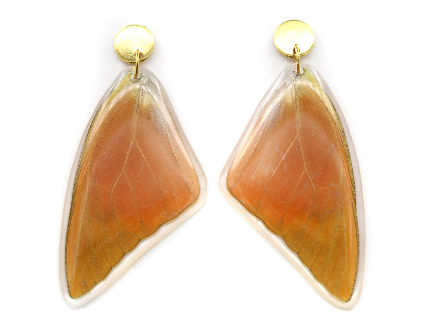 ARETES ACERO APPIAS