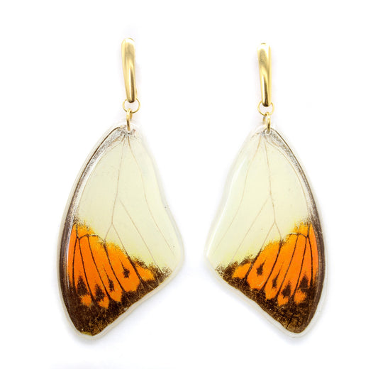 ARETES ACERO NARANJA