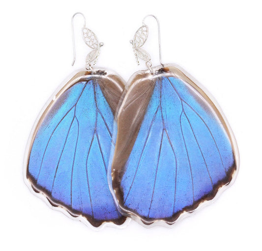 ARETES FILIGRANA MORPHO