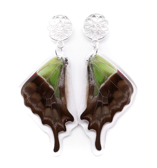 ARETES FILIGRANA FLORESTA