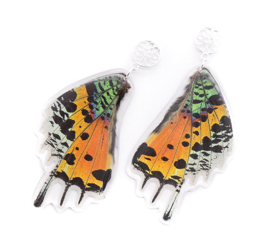 ARETES FILIGRANA MULTICOLOR