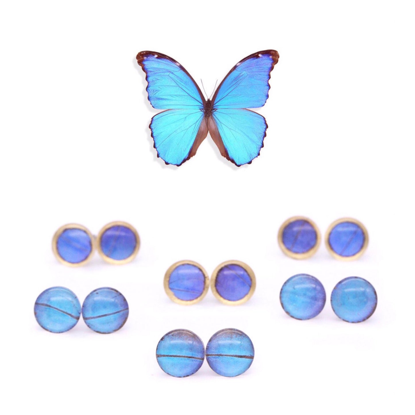 TOPOS VIDRIO MORPHO