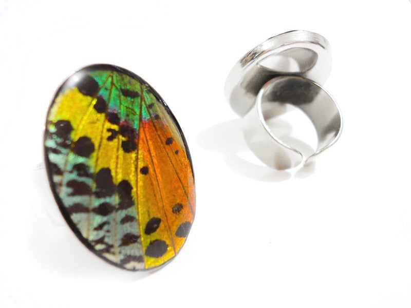 ANILLO ACERO MULTICOLOR
